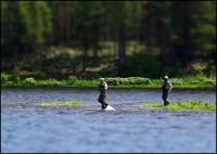 Bifogad bild: Tiltshift.kvennan.JPG